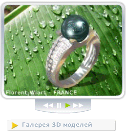 Галерея 3D моделей ювелирных изделий 3designCAD jewel